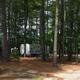 Wide view of multiple RVs and pull-through sites among tall trees — represents typical RV/campsite layout and tree cover on the property.