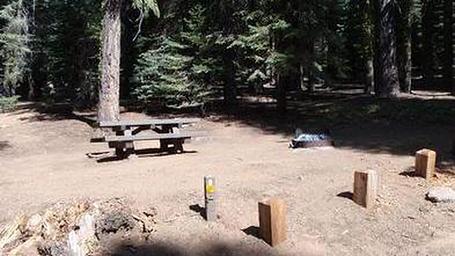 Upper Billy campsite located mostly in the sun but surrounded by a pine forest. The site include a picnic table and campfire pit.