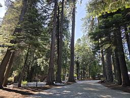 Cook's Station Campground