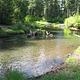 JIM CREEK GROUP CAMPGROUND