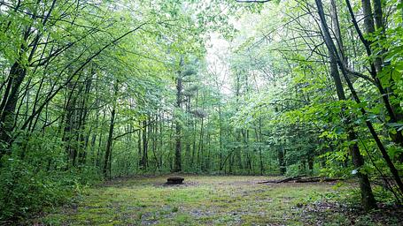 Potomac Group Campground