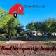 Campground image 3