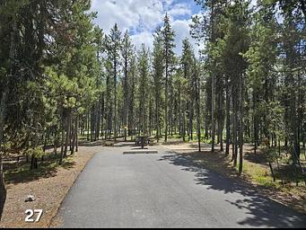 Shoreline Campground/1455