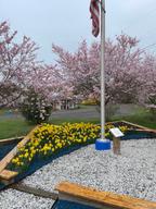 Brookside Campground