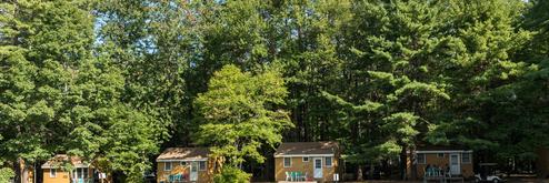 Wide, low-angle panoramic showing a row of cabins or units along a treeline — provides an overview of lodging layout and grounds (sourced from the campground’s virtual tour/thumb image).