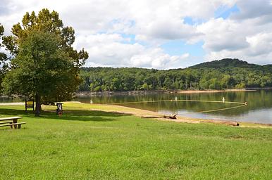 CRICKET CREEK