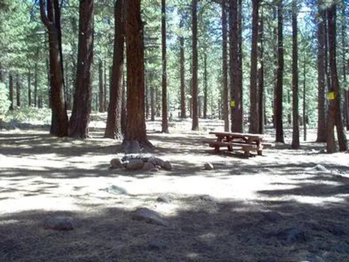 Boca Spring