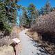 Balsam Glade Picnic Site Trail Entrance to La Madera Canyon Overlook