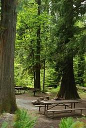 North Fork Bear Group Camp