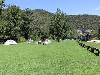 Colorful tents seen on the green grass of Steel Creek Campground. Green trees and a gray bluff line can be seen in the background.