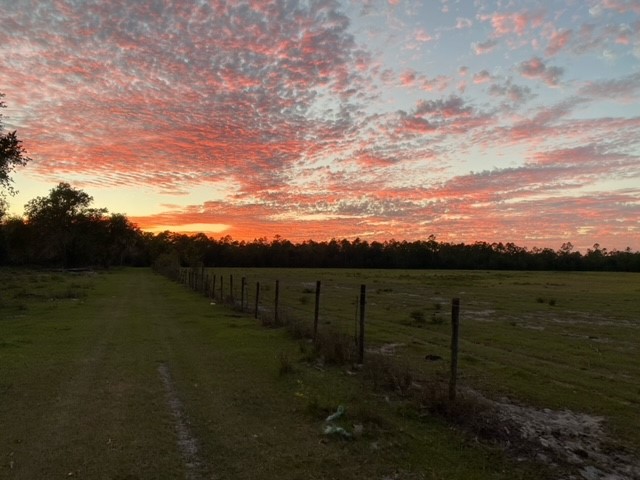 Cowbird Campground