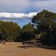 WARD MTN. CAMPGROUND (MURRAY SUMMIT)