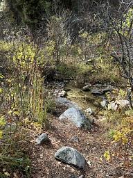 Bad Bear Campground