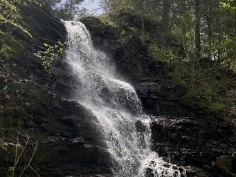 Panther Bluff Falls