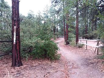 ALTO PIT Trail and greenery