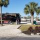 Clear photo of RV lot/pitches with palm trees, visible RVs, hookups and paved roads — shows typical site layout and amenities (from resort homepage background images).