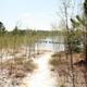 Campground image 1