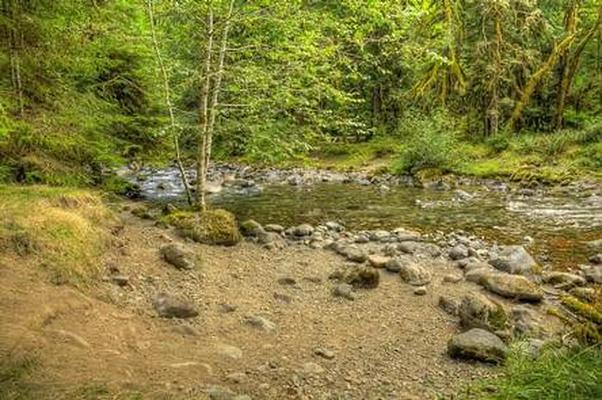 A001, Loop: AREA NORTH FORK BEAR GROUP