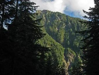 COUGAR ROCK CAMPGROUND