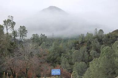 Oak Shores Day Use Area (CA)