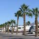 Clear wide exterior shot of paved RV pads in a row with palm trees and multiple motorhomes — strong overhead/site feel matching an RV park lot shown on the property homepage.