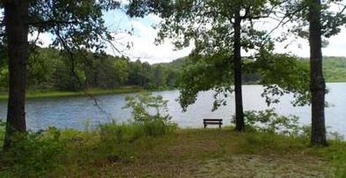View of Loggers Lake