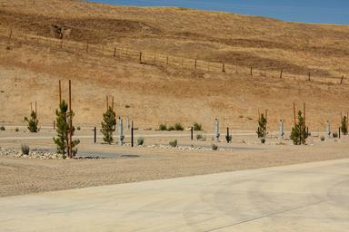 Grapevine RV Resort