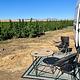 Vagabond Sunrise ~ Home Built Van Solar Freedom!