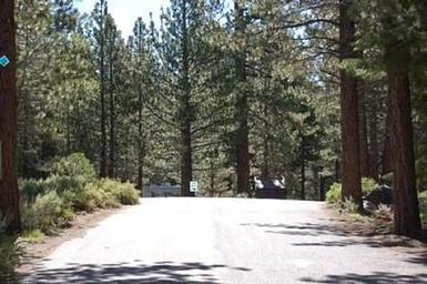 Pine Glen