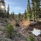 Cedar Canyon Camp