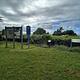 Campsites 16 and 17 
