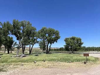 A photo of the Deerlodge Park Campground with Fremont Cottonwood trees