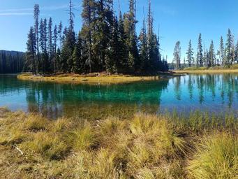 Grass, with lake and trees behind.