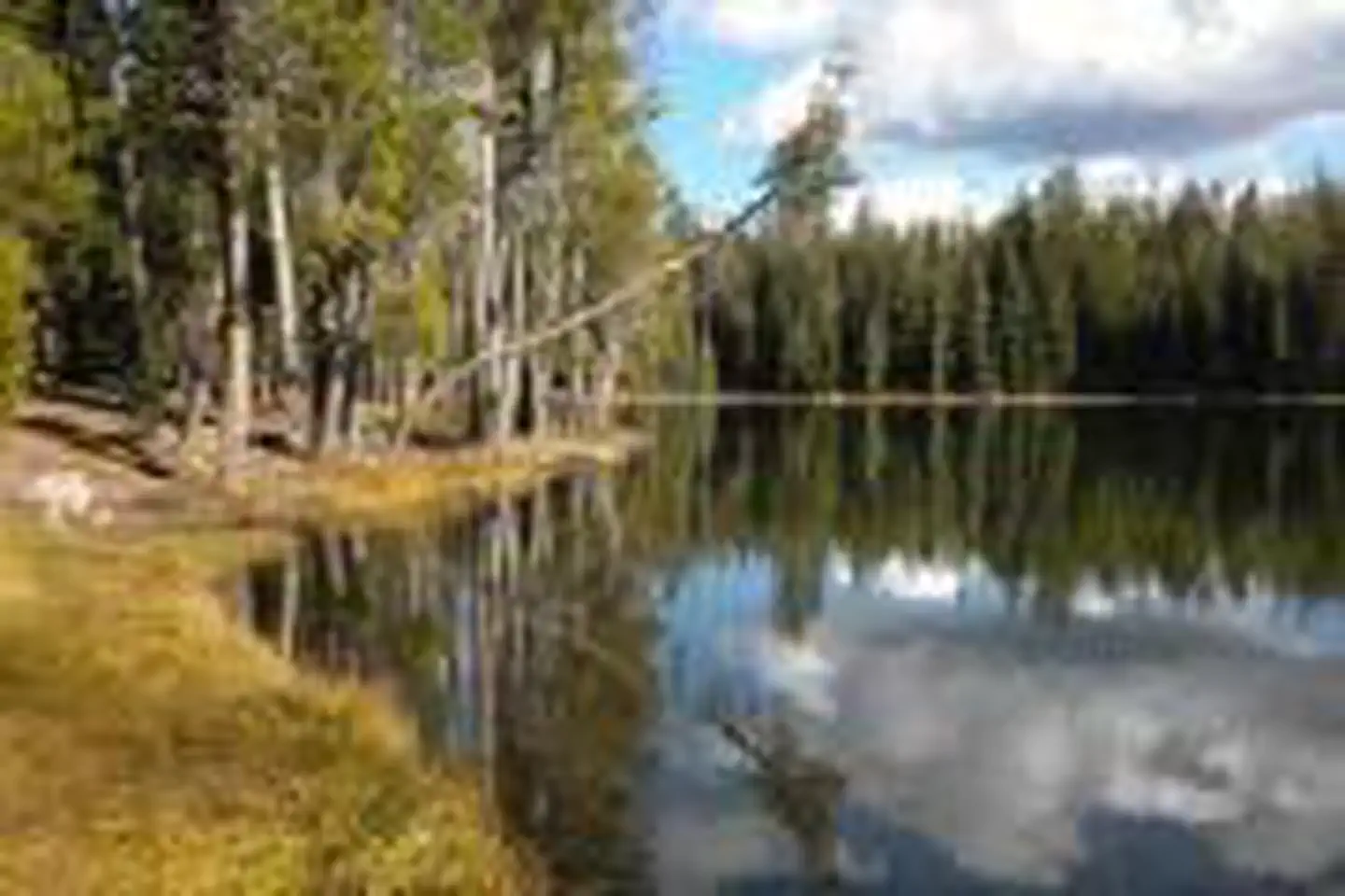 Summit Lake North