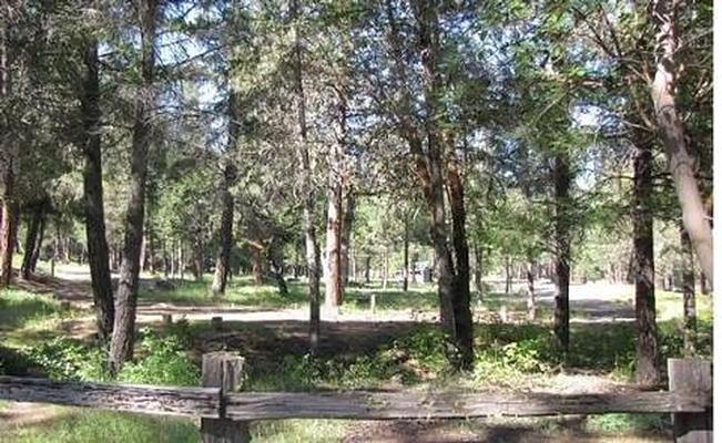 Flumet Flat, Loop: FLUMET FLAT GROUP CAMPGROUND