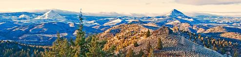 Ochoco Forest Camp