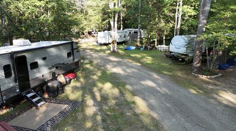 Wide view of an RV loop showing multiple RVs and the roadway through the woods — useful for illustrating RV parking/pull-through sites and campsite density/layout.