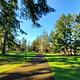 Schwarz park road with campsites