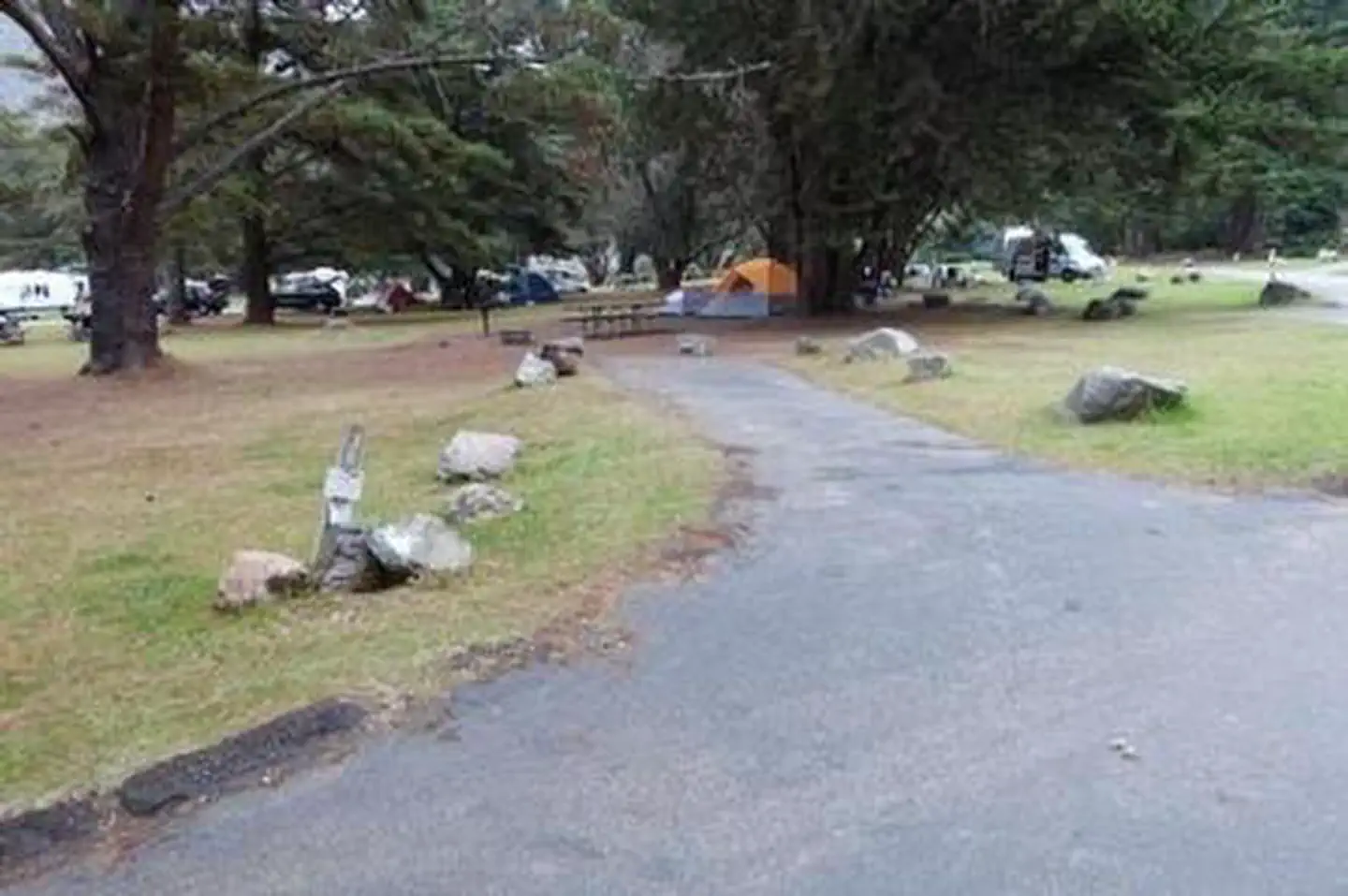 Plaskett Creek Campground