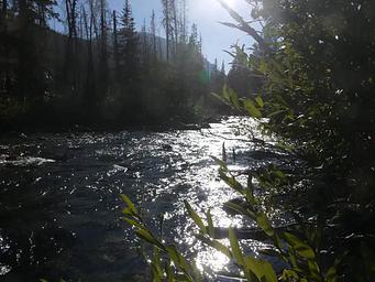 River near Cascade Campground