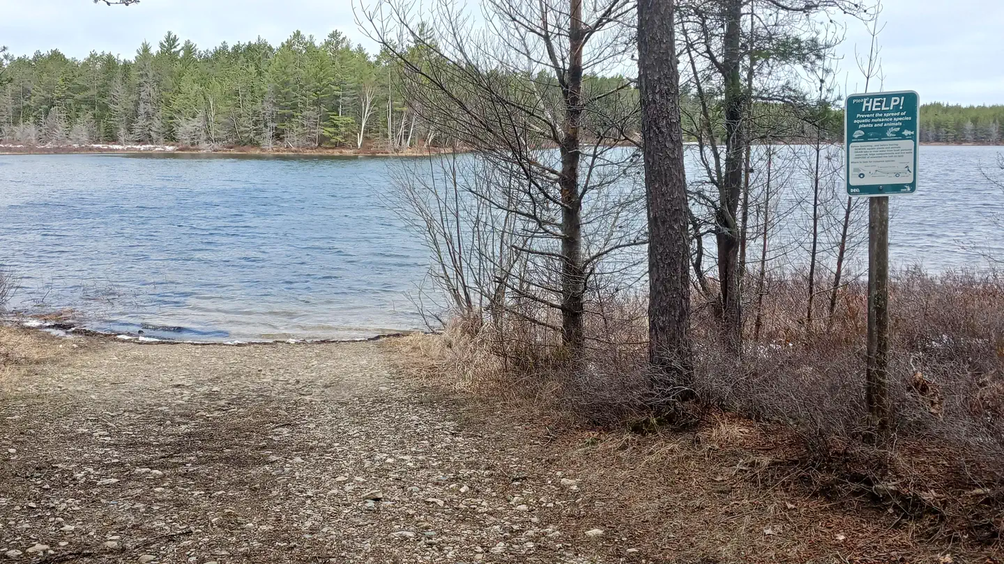 Jackpine Lake Campsites