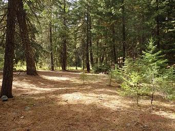 INDIAN FLAT GROUP SITE