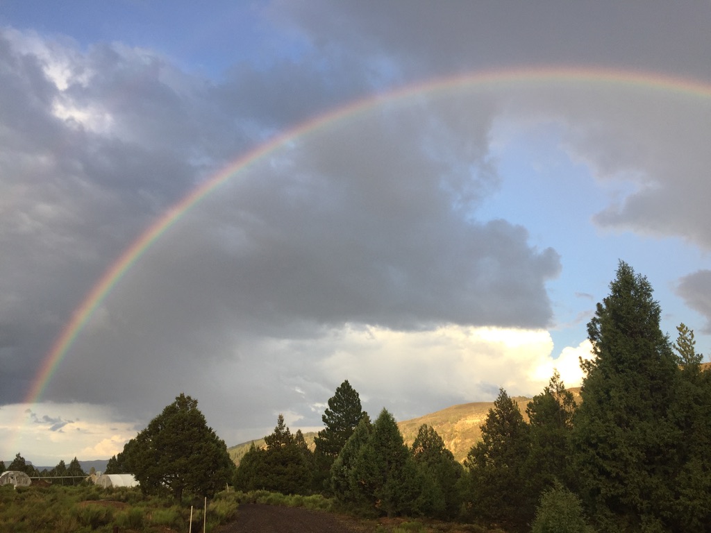 Mammoth Creek RV Resort