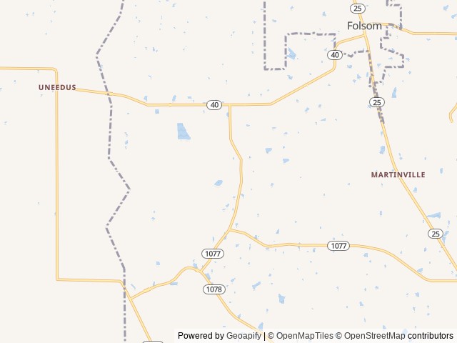 Map for ✨ Rent My Family-Friendly RV – Sleeps 10! ✨ near Folsom, LA