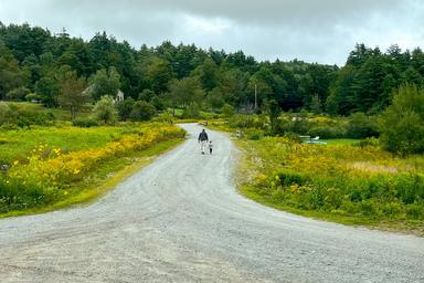 Rocky Valley RV Resort