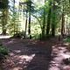 Moss Creek Campground site