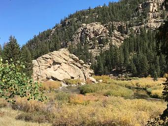 Cove Campground
