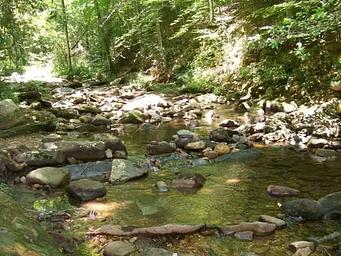 Creek running alongside campground