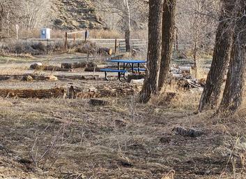 Pioneer Park Campground