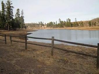 Black Canyon Rim Campground (Apache-sitgreaves National Forest, AZ)